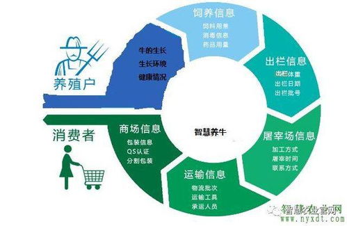 智慧農業(yè)新篇章 物聯(lián)網(wǎng)智慧養(yǎng)牛系統(tǒng)的軟件開發(fā)與應用