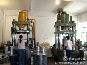 歲月如歌情永駐——原信宜市家用電器廠工友歡聚紀(jì)實(shí)
